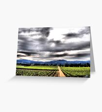 Napa Valley Vineyard Greeting Card