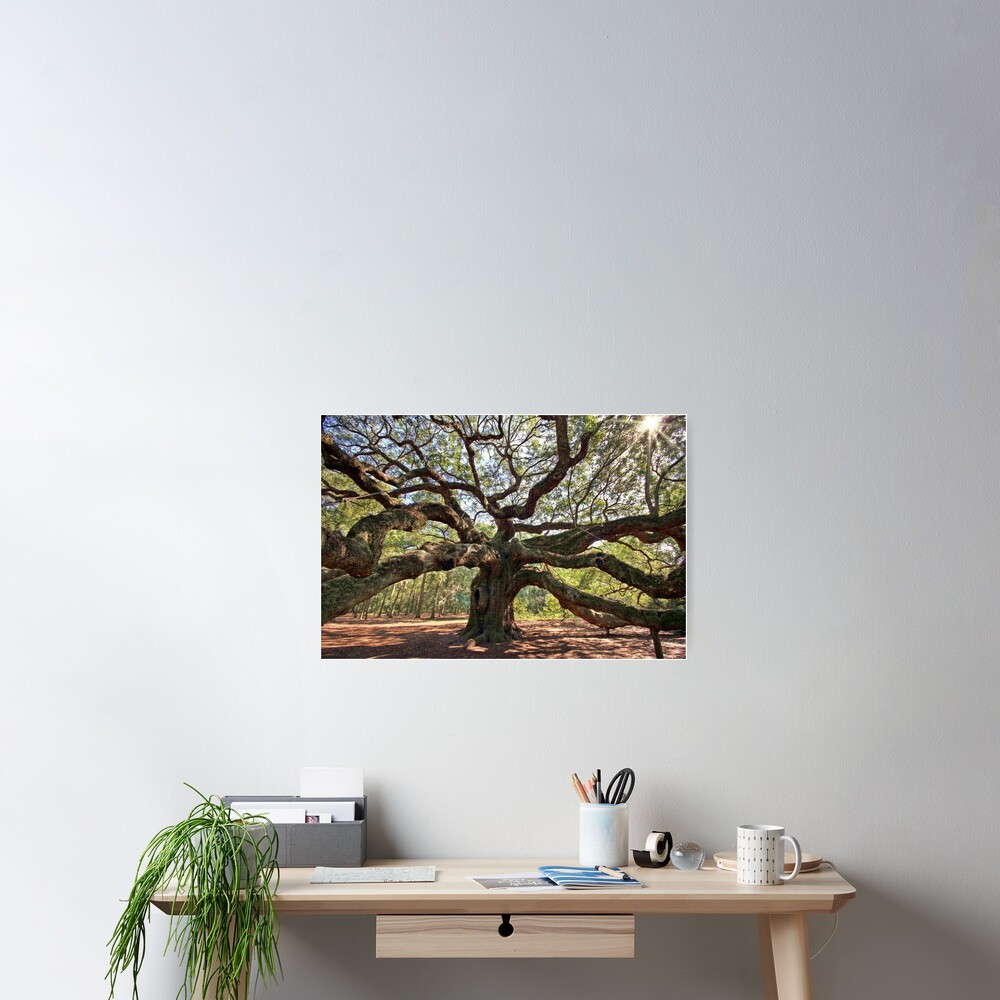 The Angel Oak Poster
