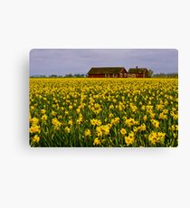Countryside Canvas Print