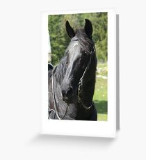 Go Boy's Sun Dee Silence Greeting Card