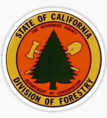 California Division of Forestry Sticker