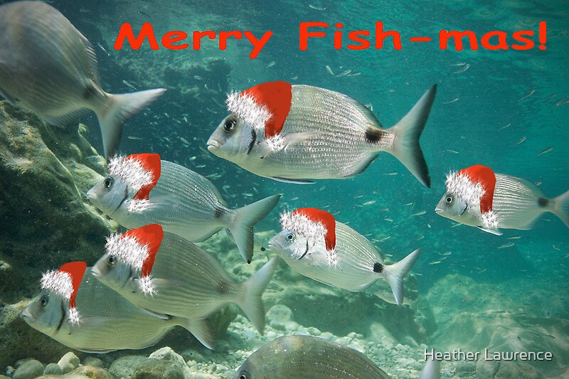 "Fish Christmas Card 3" by Heather Lawrence Redbubble