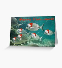 Fish Christmas Card: 3 Greeting Card