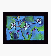 Midnight Garden cycle7 14 Photographic Print