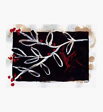Midnight Garden cycle9 5 Photographic Print