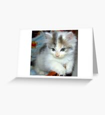 Passive Intenseness Greeting Card