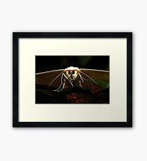 Darth Vader Framed Print
