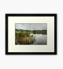 Esthwaite Water...Reeds Framed Print