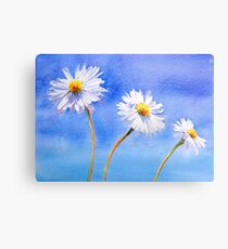 Daisy Daisy Metal Print