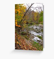 Colourful scape Greeting Card