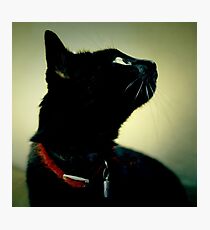 11 Photographic Print