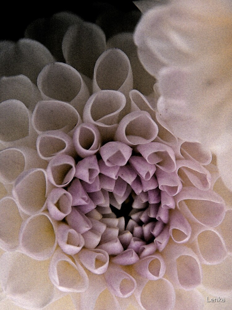 Dahlia in Pink (iPhone case) by Lenka