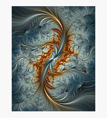 Light as a feather Photographic Print