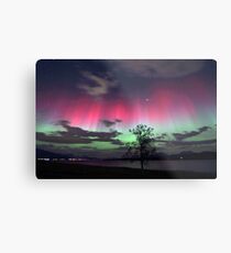 Red Auroras & the tree Metal Print