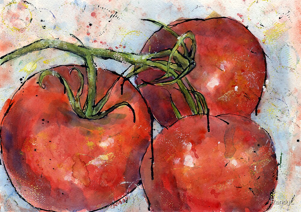 Tomatoes Three By RandyC Redbubble   Flat,1000x1000,075,f 