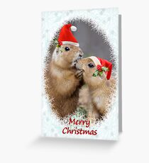 Christmas Kiss Greeting Card