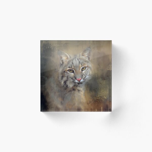 Looking Back Acrylic Block