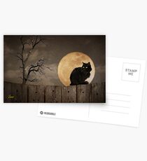 Cat On A Fence Postcards
