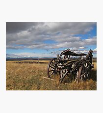 Old Buggy Photographic Print