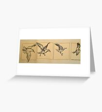 Four flying Seagulls: pen sketch. Greeting Card