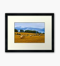 Countryside Framed Print