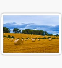 Countryside Sticker
