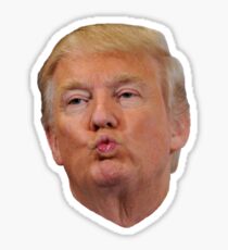 Pegatina Donald Trump