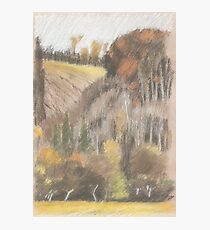 bei Plinz Photographic Print