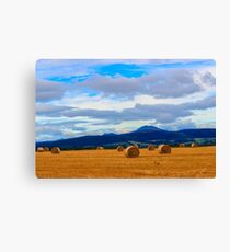 Farmlands Canvas Print