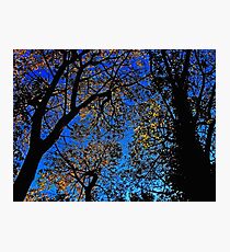 Autumn Photographic Print
