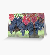 Grapes, Napa Valley, California Greeting Card