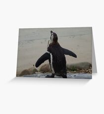 Does my bum look big in this? Greeting Card