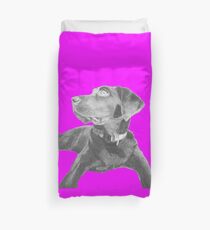 Black Labrador Retriever in Pink Duvet Cover