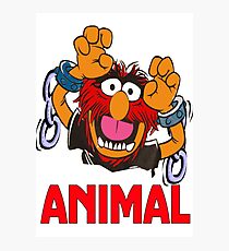 Animal Photographic Print