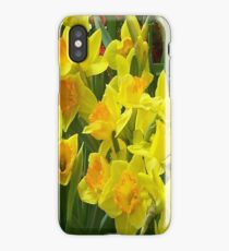 iPhone Case - Daffodils iPhone Case
