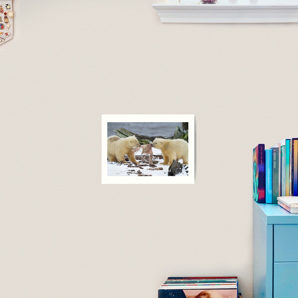 Tug-O-War Art Print
