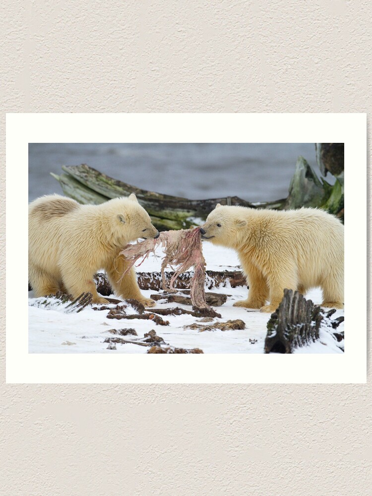 Alternate view of Tug-O-War Art Print