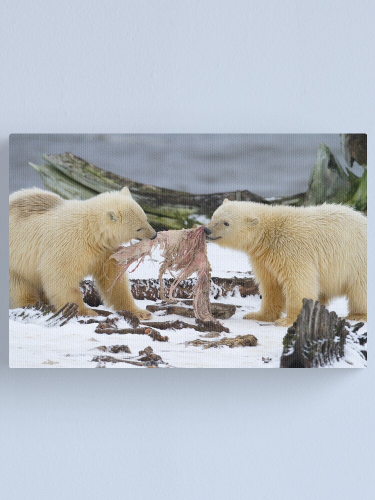 Alternate view of Tug-O-War Canvas Print