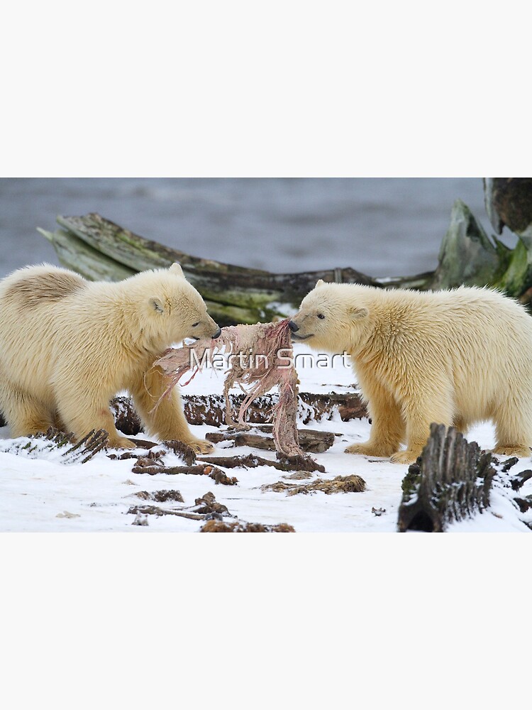 Tug-O-War by MartinSmart