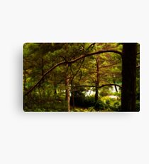 Branching Canvas Print
