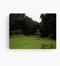 Taken in Ayrshire, Scotland Canvas Print