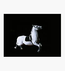 Graceful Leap Photographic Print