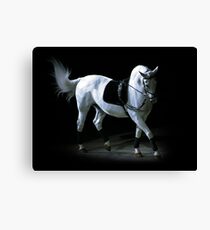 Elegance Canvas Print
