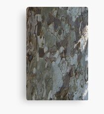 Grey scale Canvas Print
