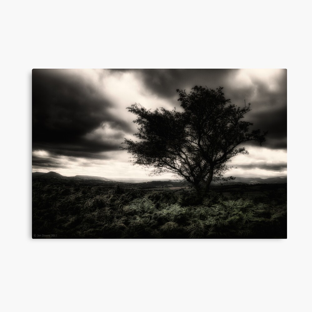 once upon a hill Canvas Print