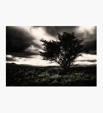 once upon a hill Photographic Print