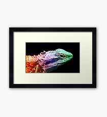 Bearded Dragon - Rainbow Dragon Framed Print