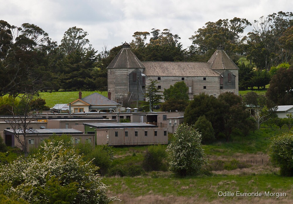 "Kingsholme oast house, Ellendale, Tasmania" by Odille