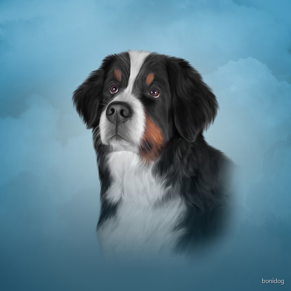 "Drawing Bernese Mountain Dog " by bonidog Redbubble