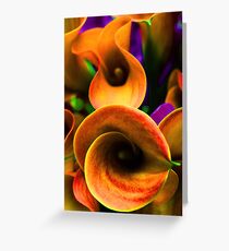 Calla Lilies Greeting Card